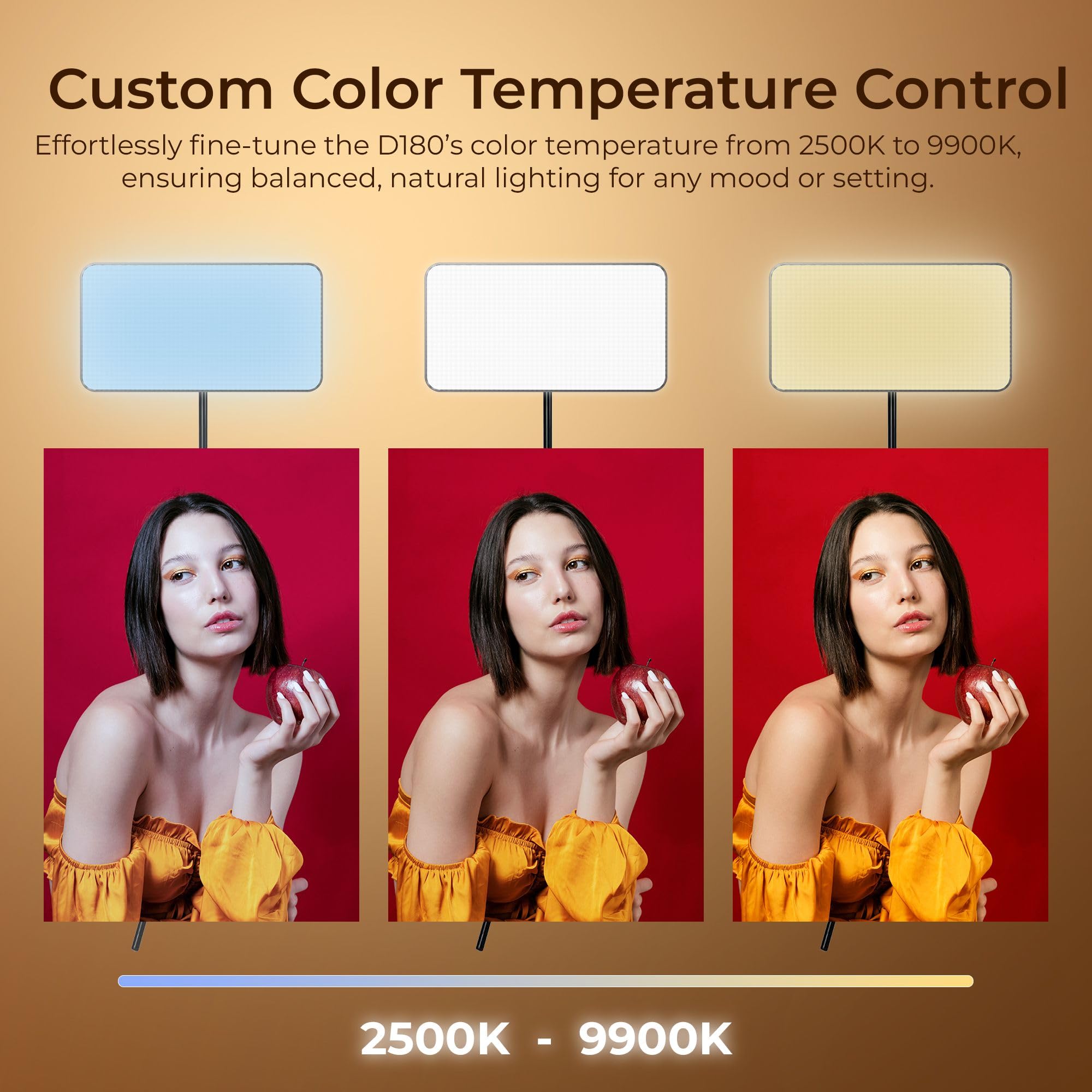 Digitek (LED-D180) 12W Portable Bi-Color LED Video Light, 2500K